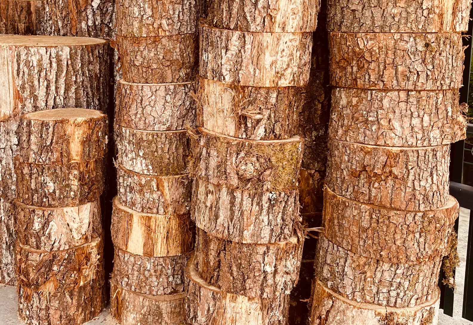 Спил дерева для садовой дорожки